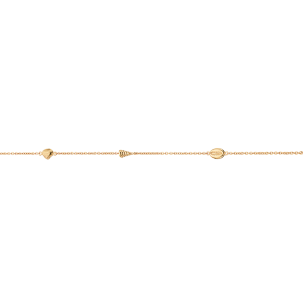 Scrouples Muslingeskal Forgyldt Sølv Armbånd 37602,18