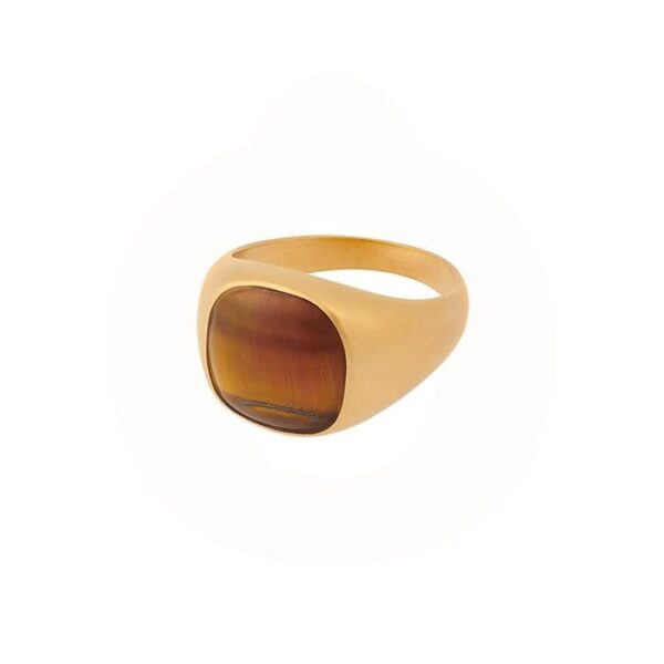 Pernille Corydon Edge by - Tiger Eye Herrering R-821-GP