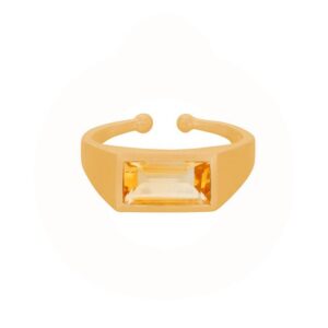 Pernille Corydon - Treasure Ring R-198-GP