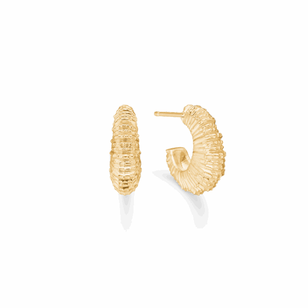 Studio Z - Seashell Secrets sølv forgyldt creoler med rå overflade - 7210907