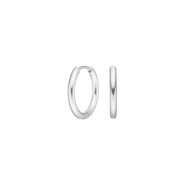 Pure Titanium Nikkelfri hoops i titanium - 12 mm