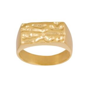 Son of Noa Herrering i 14 kt guld